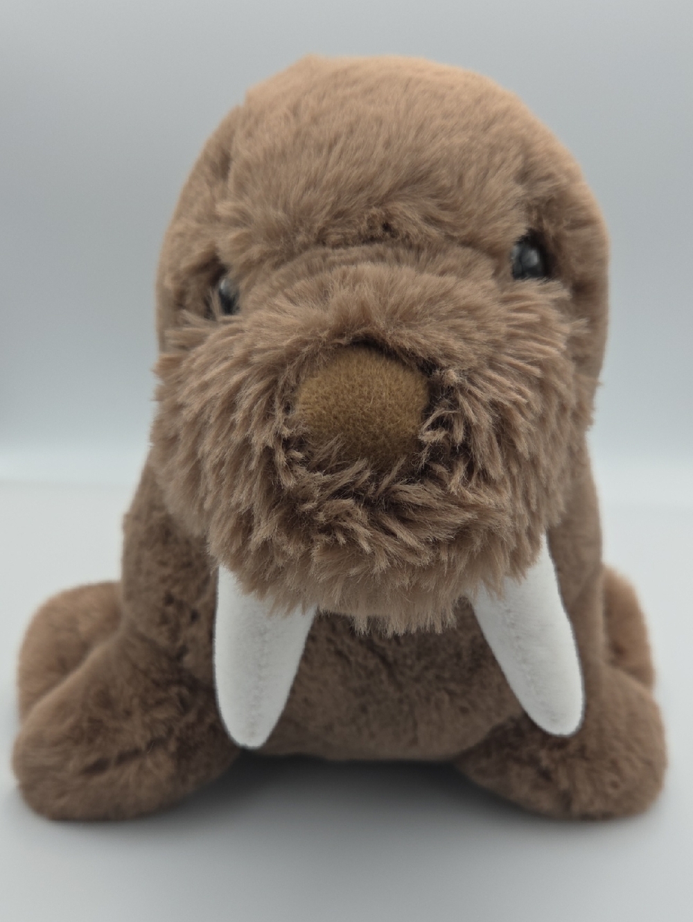 Plush Brown Walrus Small Pet Toy - Soft Stuffed Animal